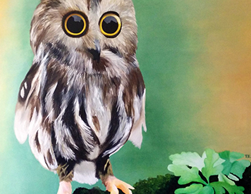 Owl - 2014